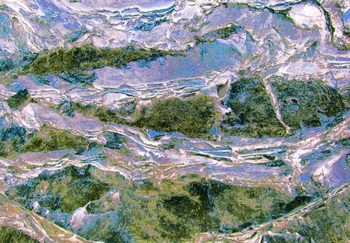 AP 94C1